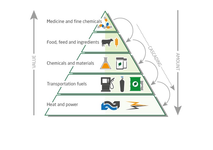 Pyramid chart